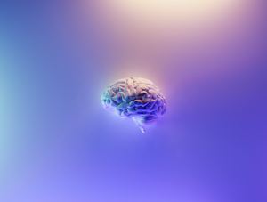 Multi color computer rendering of a brain in front of a purple background.